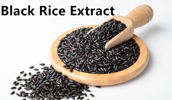 Black Rice Extract.png